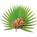 część