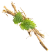 część